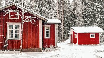 Ulkopuoli