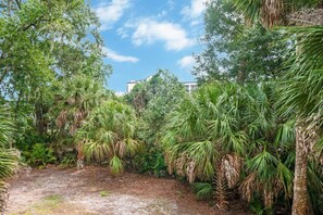 Terrain de lâhĂ©bergement