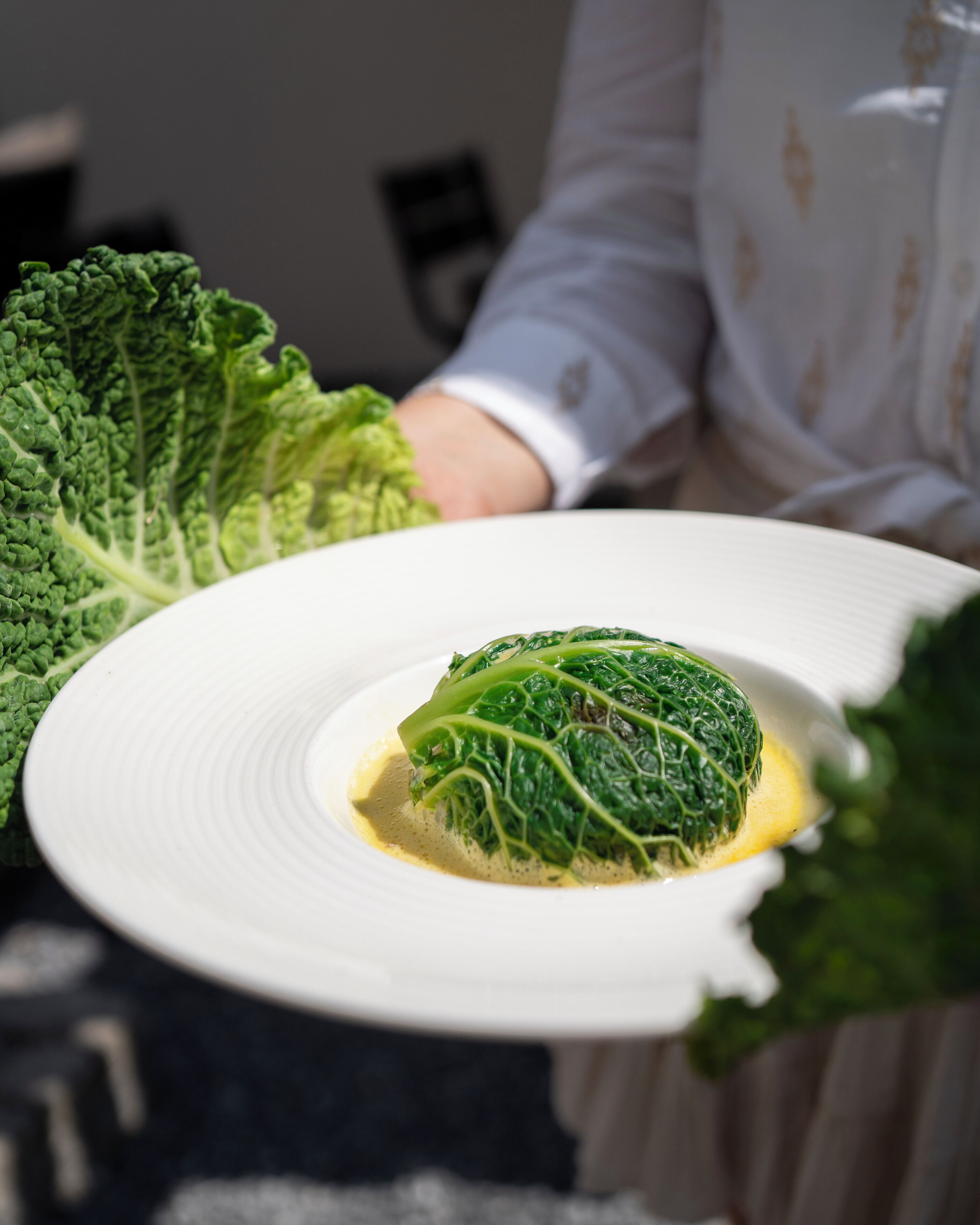 Uma pessoa segurando um prato branco com um prato de vegetais e um molho amarelo.
