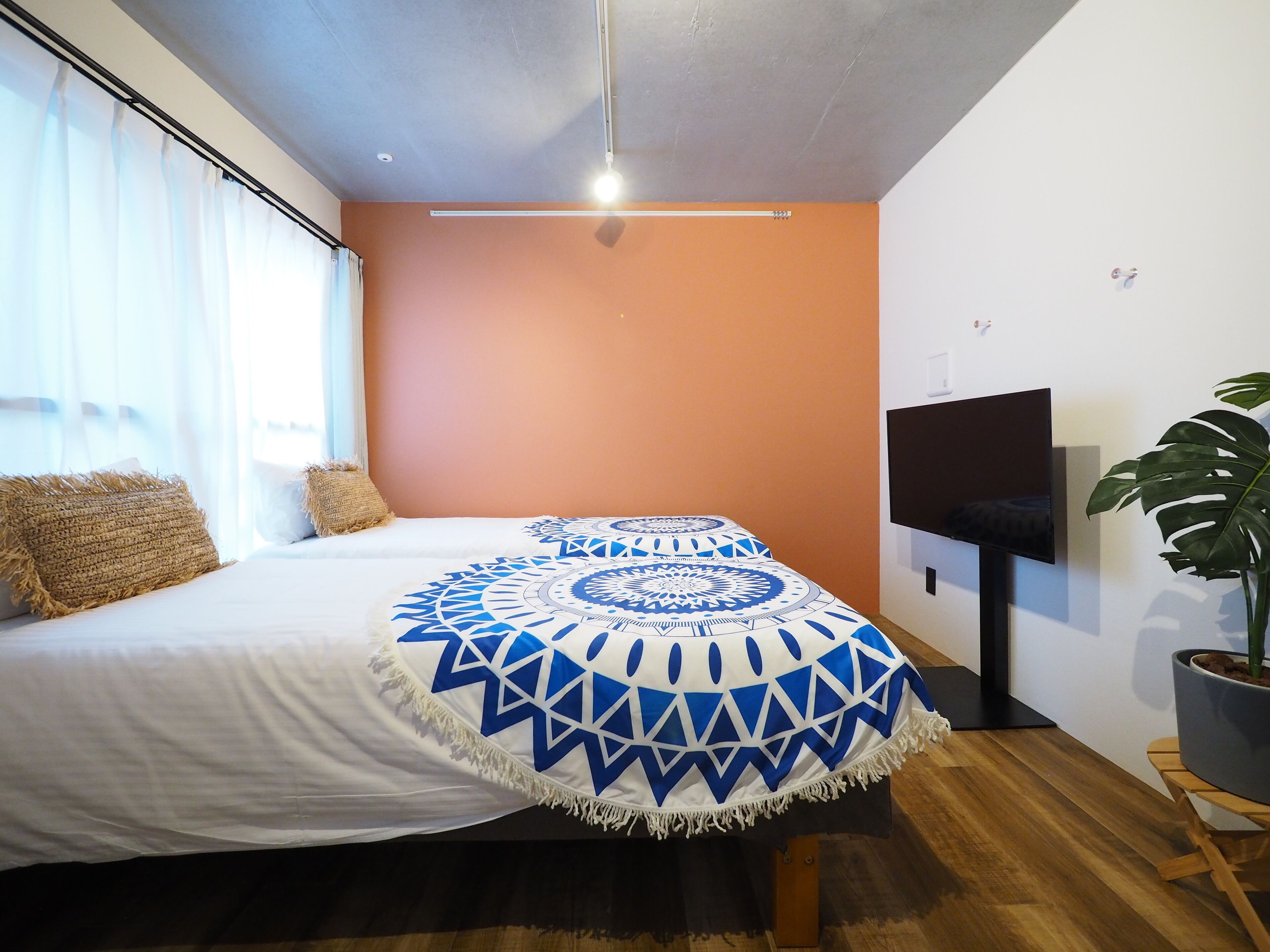 Foto - Luana Shibuya