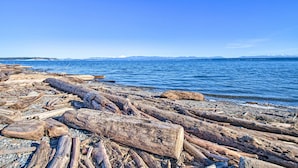 A rocky shoreline with large logs and a clear blue sky.