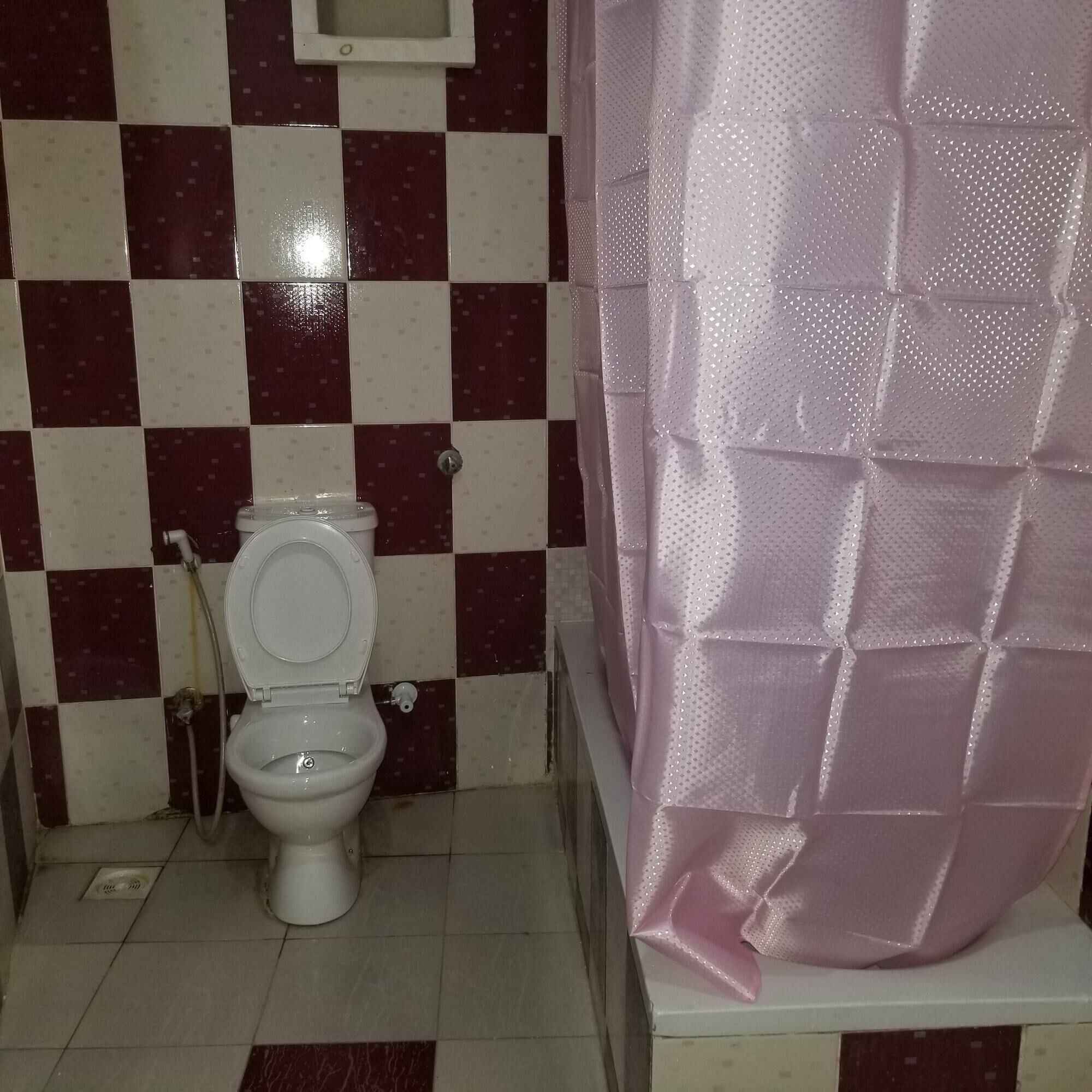 A bathroom with a toilet, a shower curtain, and checkered tiles.