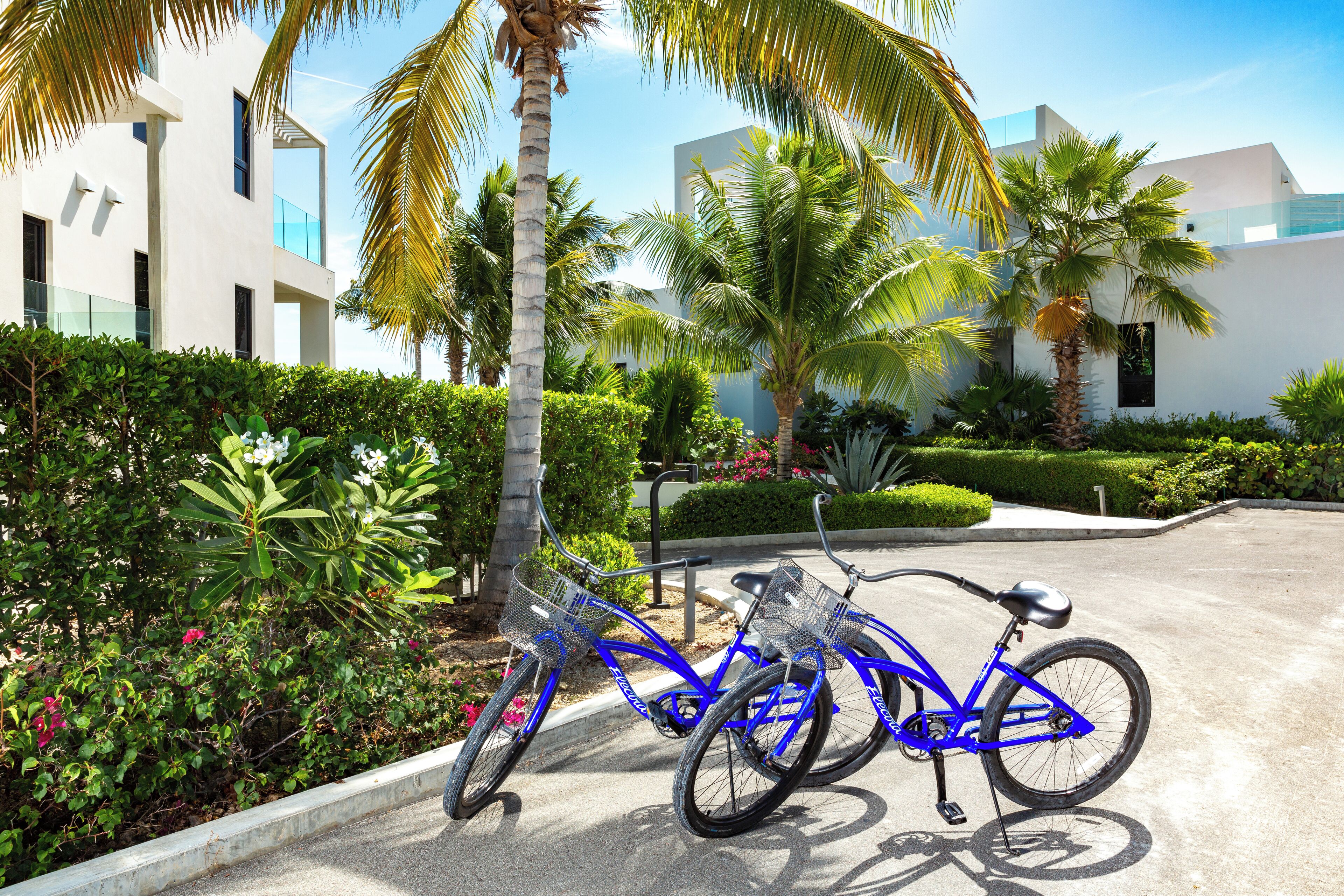Una bicicleta azul estacionada en un jardín cuidado, con palmeras y un edificio moderno al fondo.