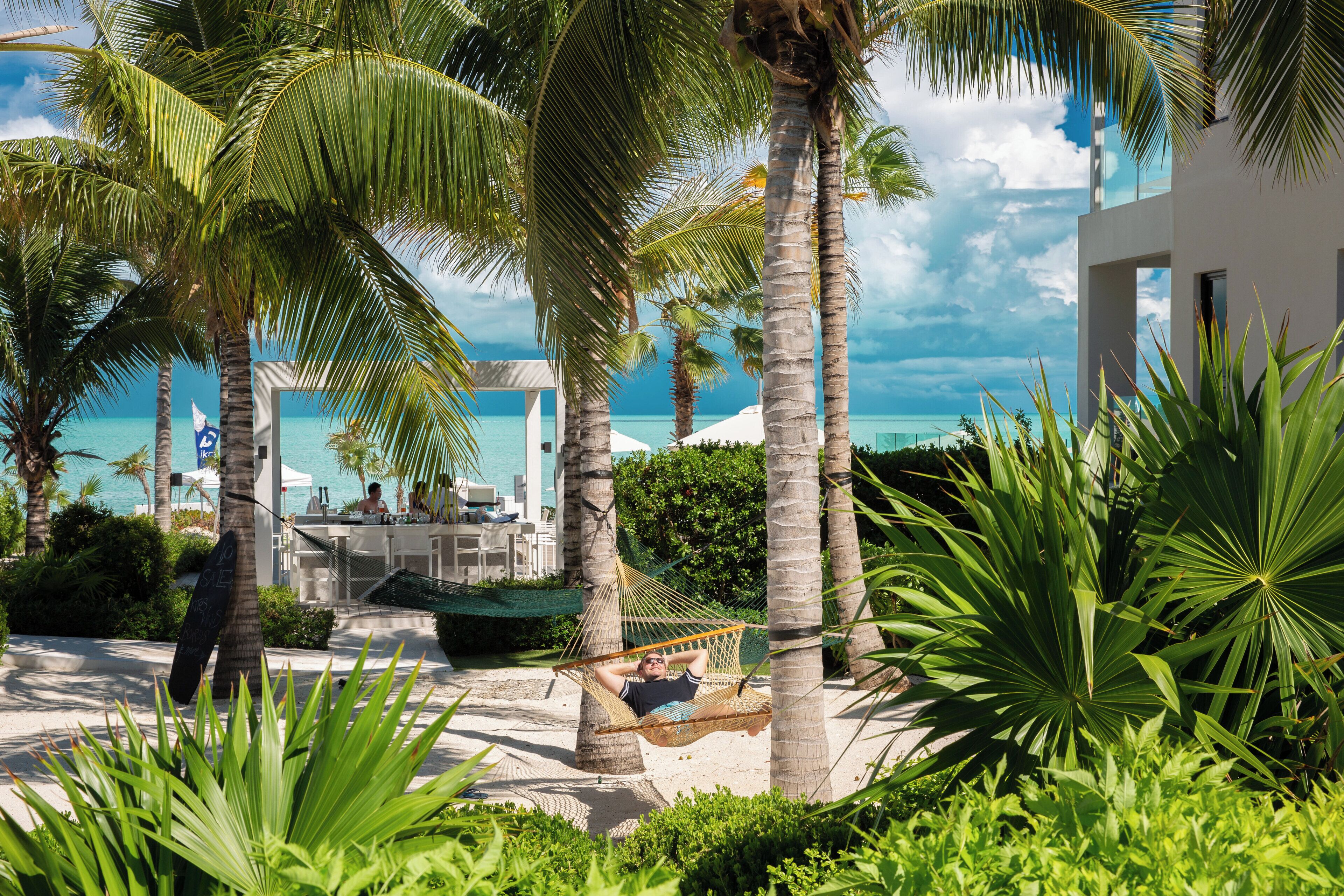 A beachside resort with palm trees, a hammock, and a pool area.