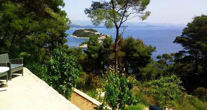 Apartments MatuĆĄko Mljet