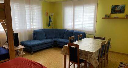 Ski Maison de Vacances (DAVOS LODGE)