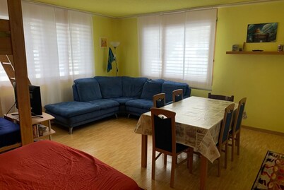 Ski holiday house (DAVOS LODGE)