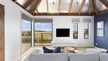 Smart TV, fireplace, DVD player, books