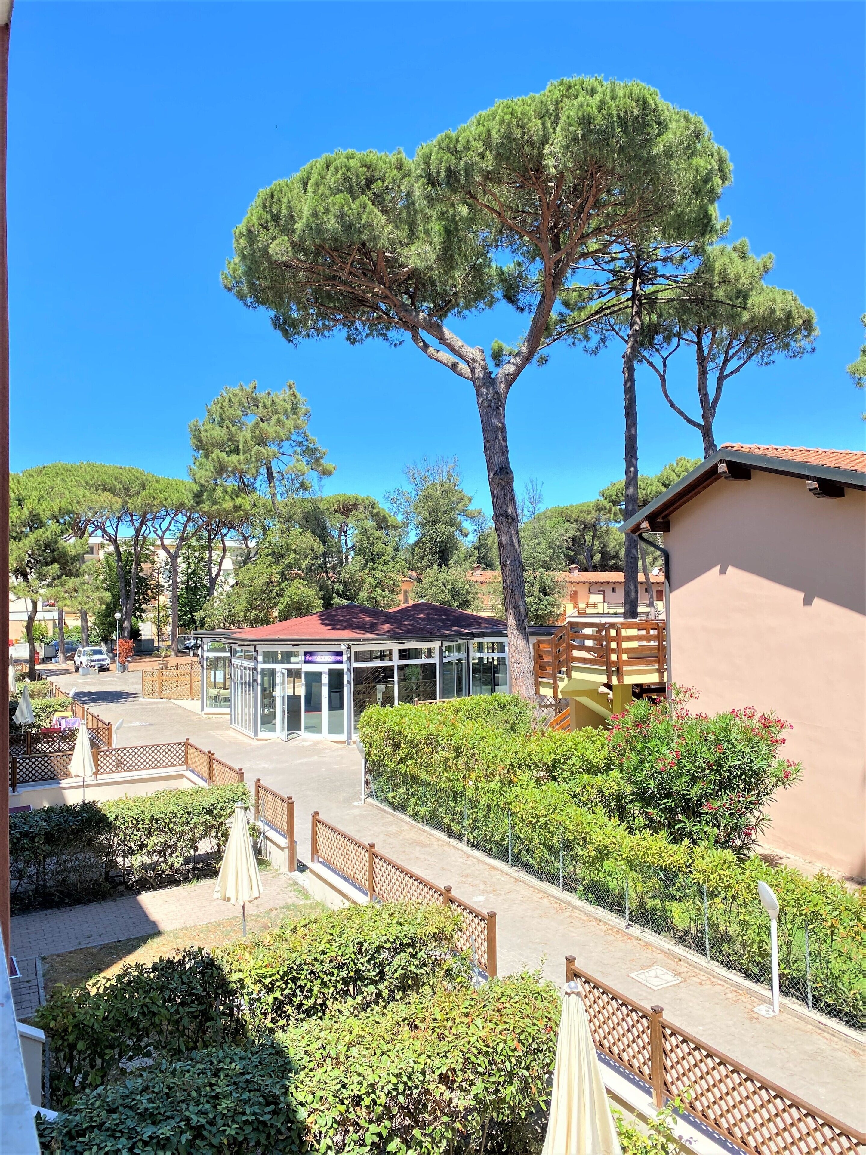 A sunny outdoor area with a covered seating area, a building with a red roof, and a large tree.