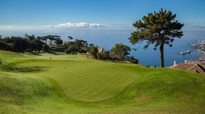 Un parcours de golf offrant une vue dégagée sur la mer et agrémenté d’un arbre remarquable.