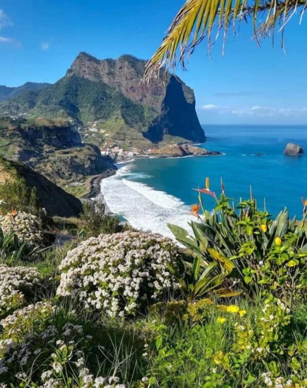 Un paysage côtier caractérisé par une montagne imposante, une plage et une végétation luxuriante.