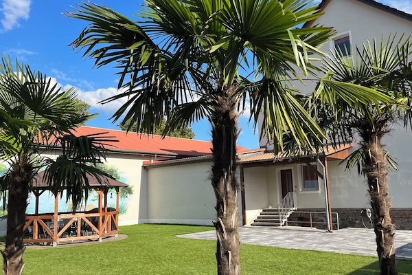 Blick in den Garten