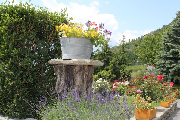 Overnattingsstedets uteområder