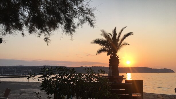 Une plage avec un palmier, des chaises et une vue sur le coucher de soleil sur l’eau.