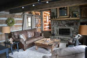 Smart TV, lareira, DVD player, livros