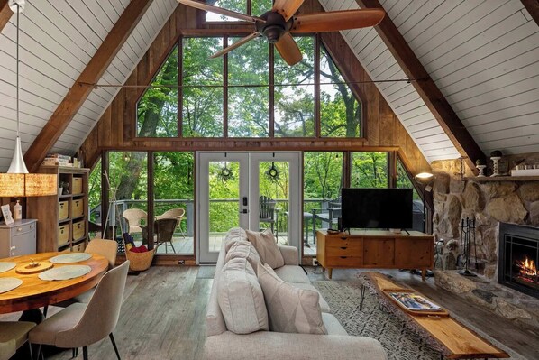 Televisión, chimenea, libros, oficina