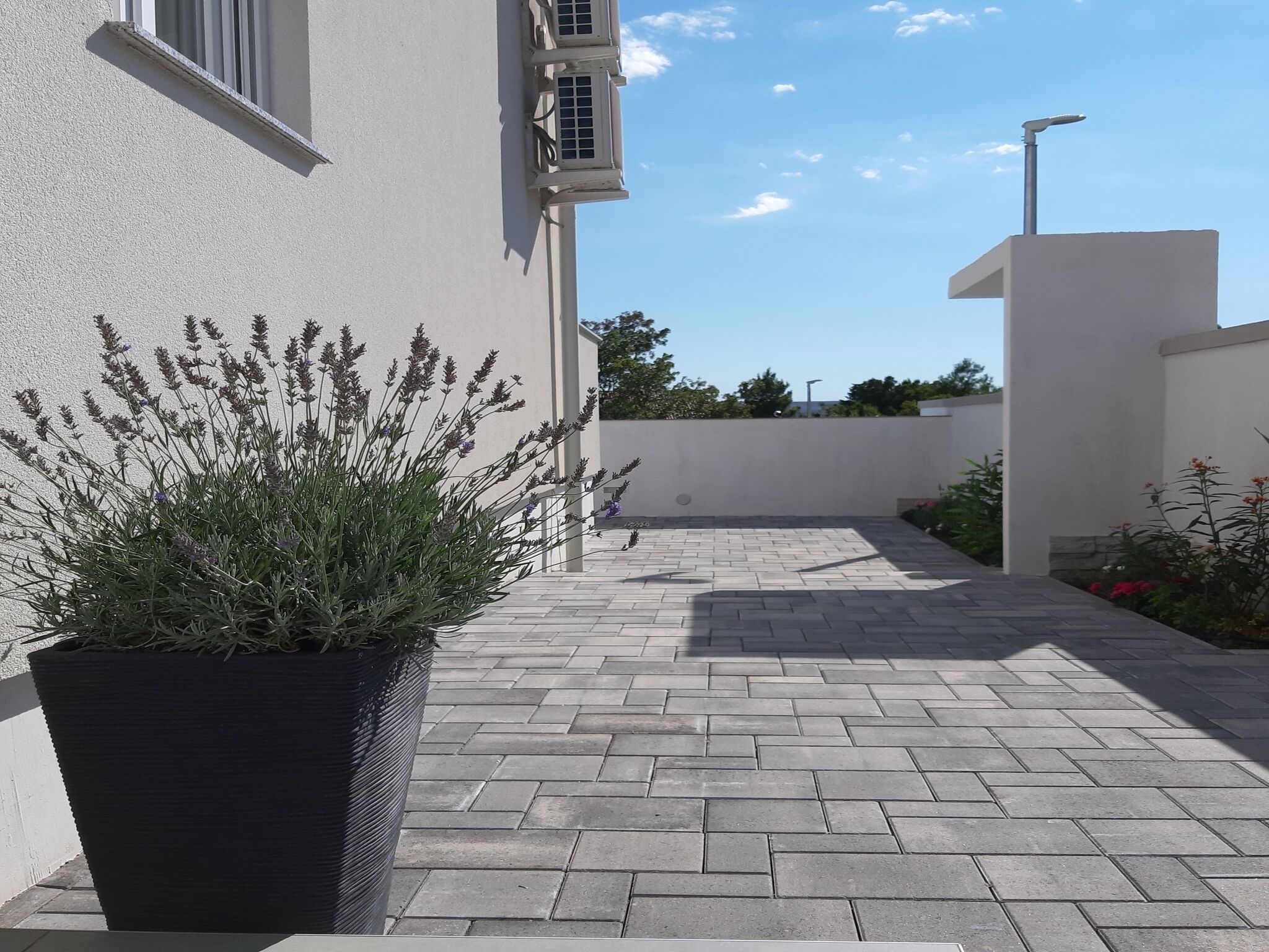 A paved courtyard with a potted plant, a white building with a window and air conditioning unit, and a clear blue sky.
