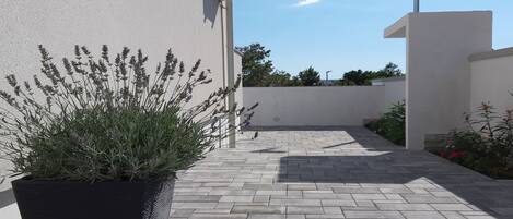 A paved courtyard with a potted plant, a white building with a window and air conditioning unit, and a clear blue sky.