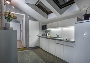Fridge, microwave, oven, stovetop - Air conditioned Penthouse with Spacious roof terrace in the heart of Old Town  (Prague)