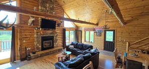 Smart TV, fireplace, DVD player, video library