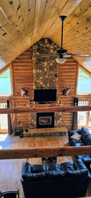 Smart TV, fireplace, DVD player, video library