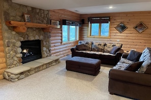 Smart TV, chimenea, reproductor de DVD y videoteca