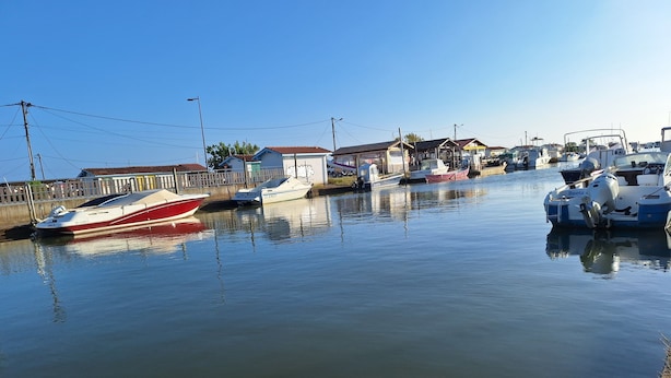 Een jachthaven met verschillende boten afgemeerd, een houten omheining en een helderblauwe lucht.