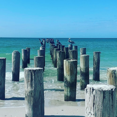 Naples Park Pool & Spa Home 1 Mile to Beach and Tropical Oasis Fenced Yard.