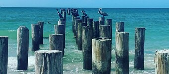 Naples Park Pool & Spa Home 1 Mile to Beach and Tropical Oasis Fenced Yard.