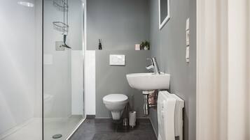 Shower, hair dryer, soap, toilet paper