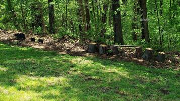 House (Mountain Top Retreat) | Property grounds