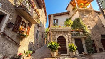A narrow cobblestone street with historic stone buildings, wooden shutters, and potted plants.