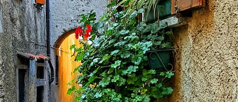 Detalle exterior