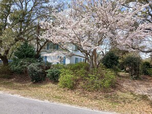 Terrein van de accommodatie