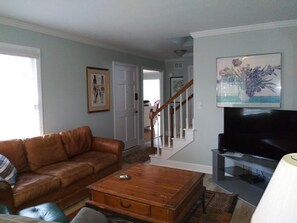 Smart TV, fireplace, DVD player, books