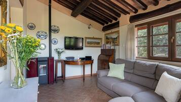 Casa | Area soggiorno | TV 21 pollici con canali satellitari, lettore DVD