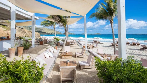 Un salón junto a la playa con asientos al aire libre, palmeras y vistas al océano.