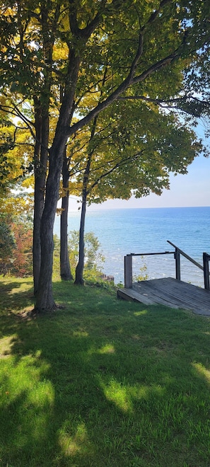 A grassy area with trees and a wooden deck overlooking a body of water.