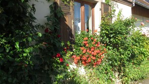Un bâtiment doté d’une porte et de fenêtres en bois, entouré d’une végétation luxuriante et de plantes en fleurs.