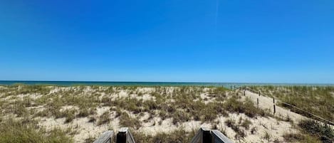 Playa en los alrededores
