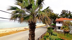 A coastal road with a palm tree, beach, and a house with a red roof. - Zennova 22 Nikiti Sea Side House (Sithonia)