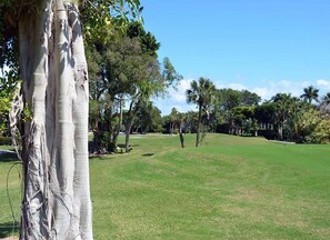 House (Tin Cup) | Property grounds