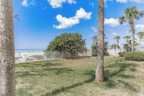 A grassy area with palm trees and a white fence.