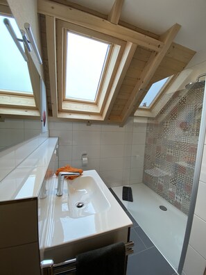 Dusche, Haartrockner, Handtücher, Seife