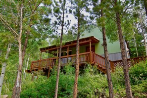 Una casetta sugli alberi con veranda in legno e rivestimento verde, circondata da alberi alti e fitta vegetazione.