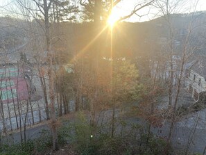 A view of a sports court surrounded by trees and a building in the background.