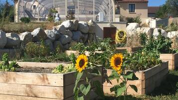 Jardines del alojamiento