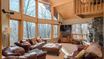 TV connectée, cheminée, jeux vidéo, lecteur de DVD