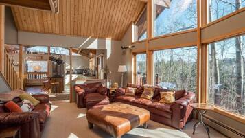 TV connectée, cheminée, jeux vidéo, lecteur de DVD