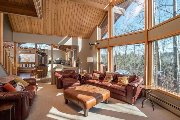 Smart TV, fireplace, video games, DVD player